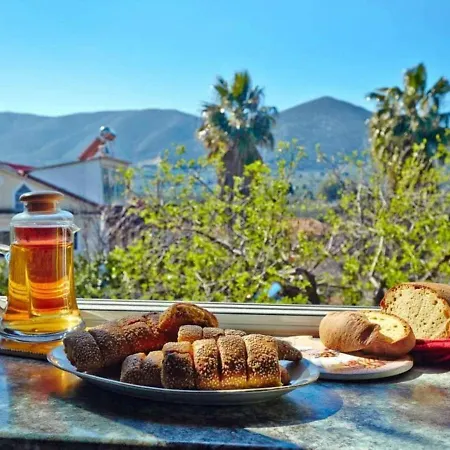 Nyaraló Holiday Anemelia